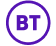 BT Logo
